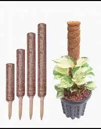 Indoor Pole Peat Dubai Flowers Coco Stand In Climbing Price Indoor Sticks Moss Best For Support Plants Totem Extended Decoration