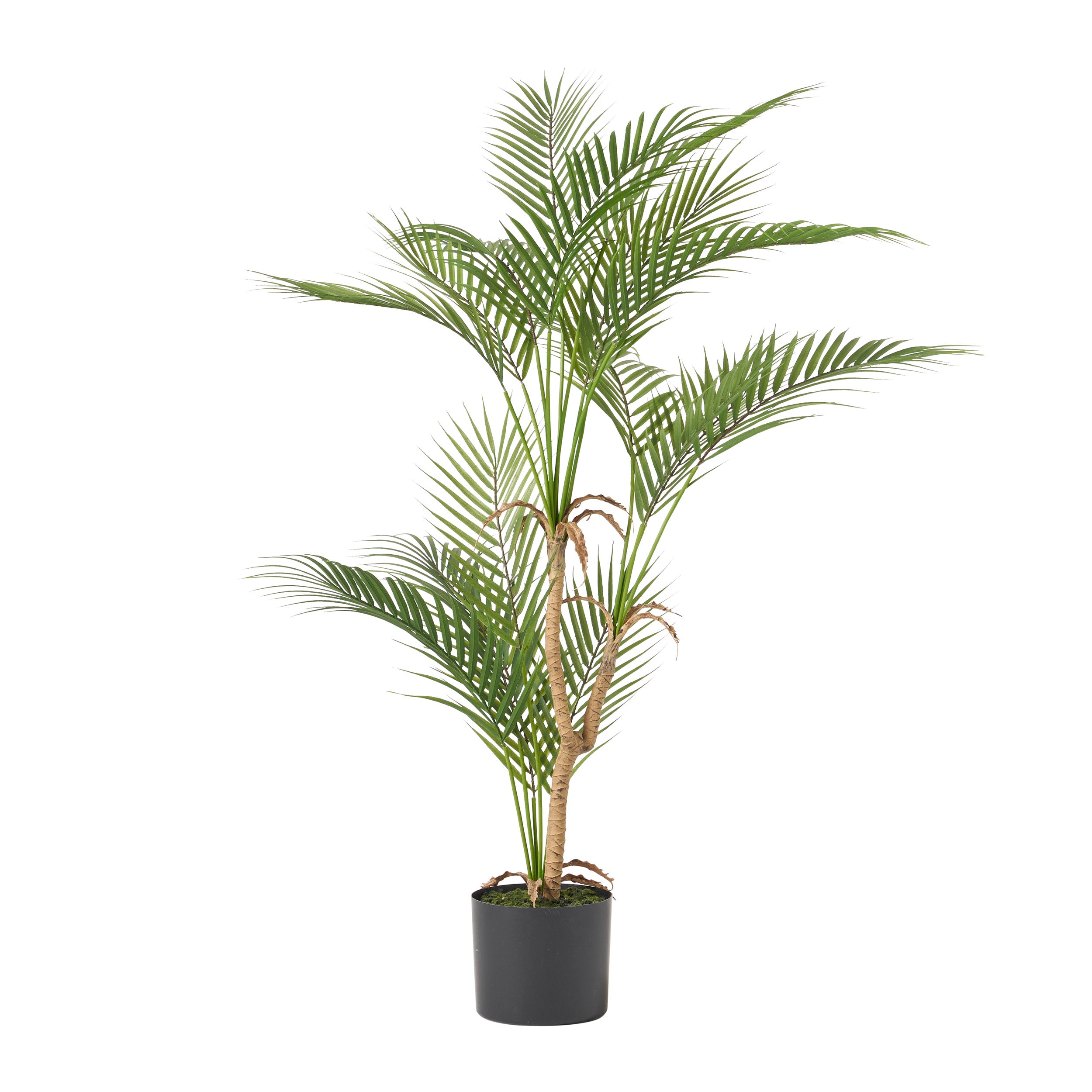 Abbeville Troup Artificial Palm Tree