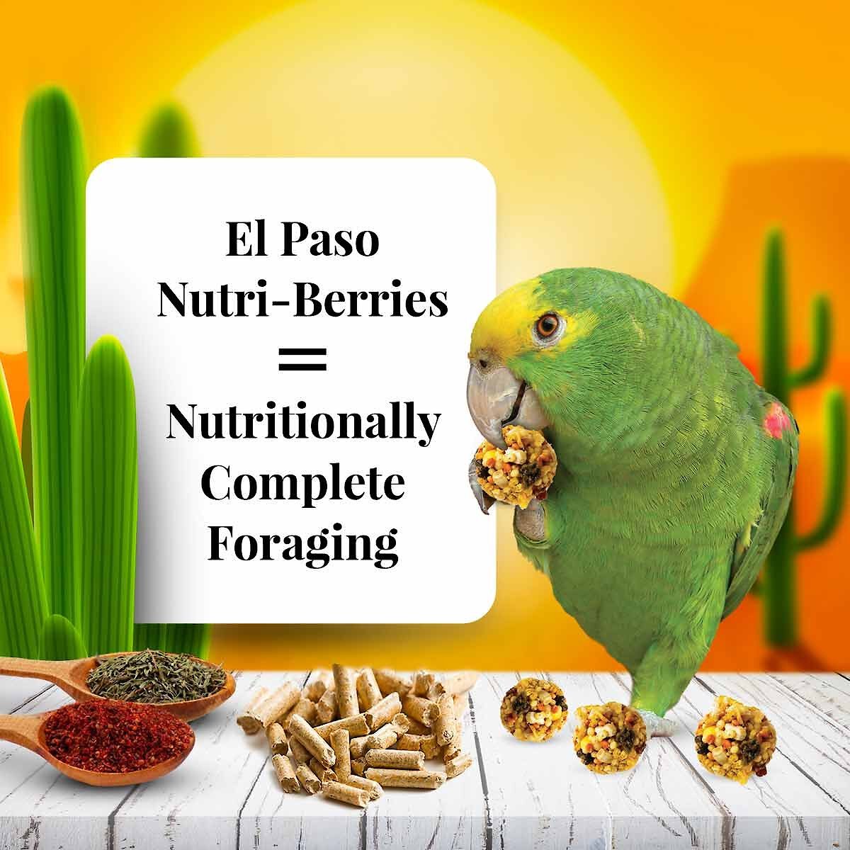 Lafeber El Paso Nutri-Berries Parrot Food