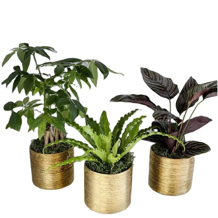 Gold Plated Metal Flower Planter Home and Outdoor Decoration Stainless Steel Flower Display Vase Floor Planter