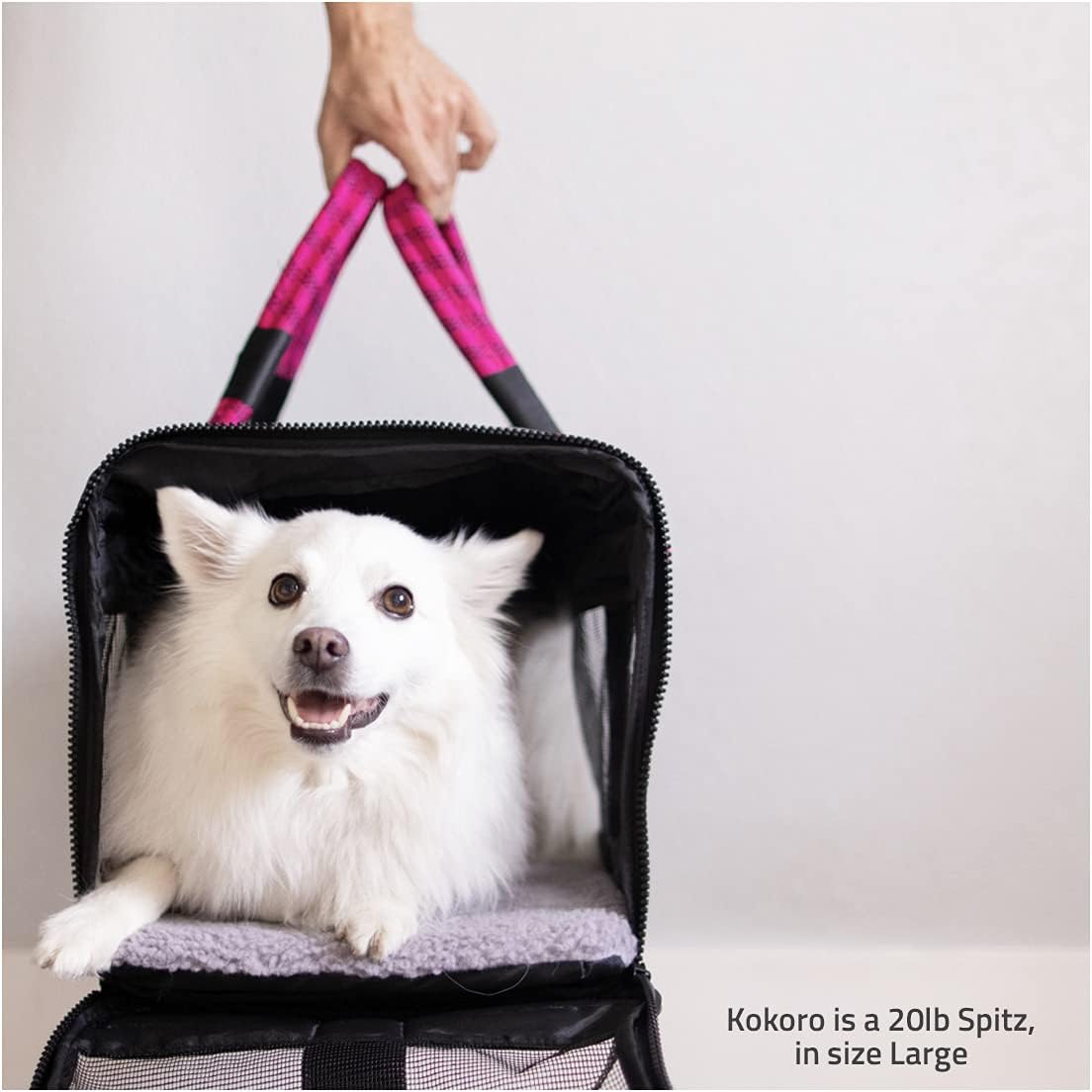 Airline Compliant   Travel Bag and Car Seat. Includes Leash. Stylish. . Two Sizes for Most Pets up to 20lbs.