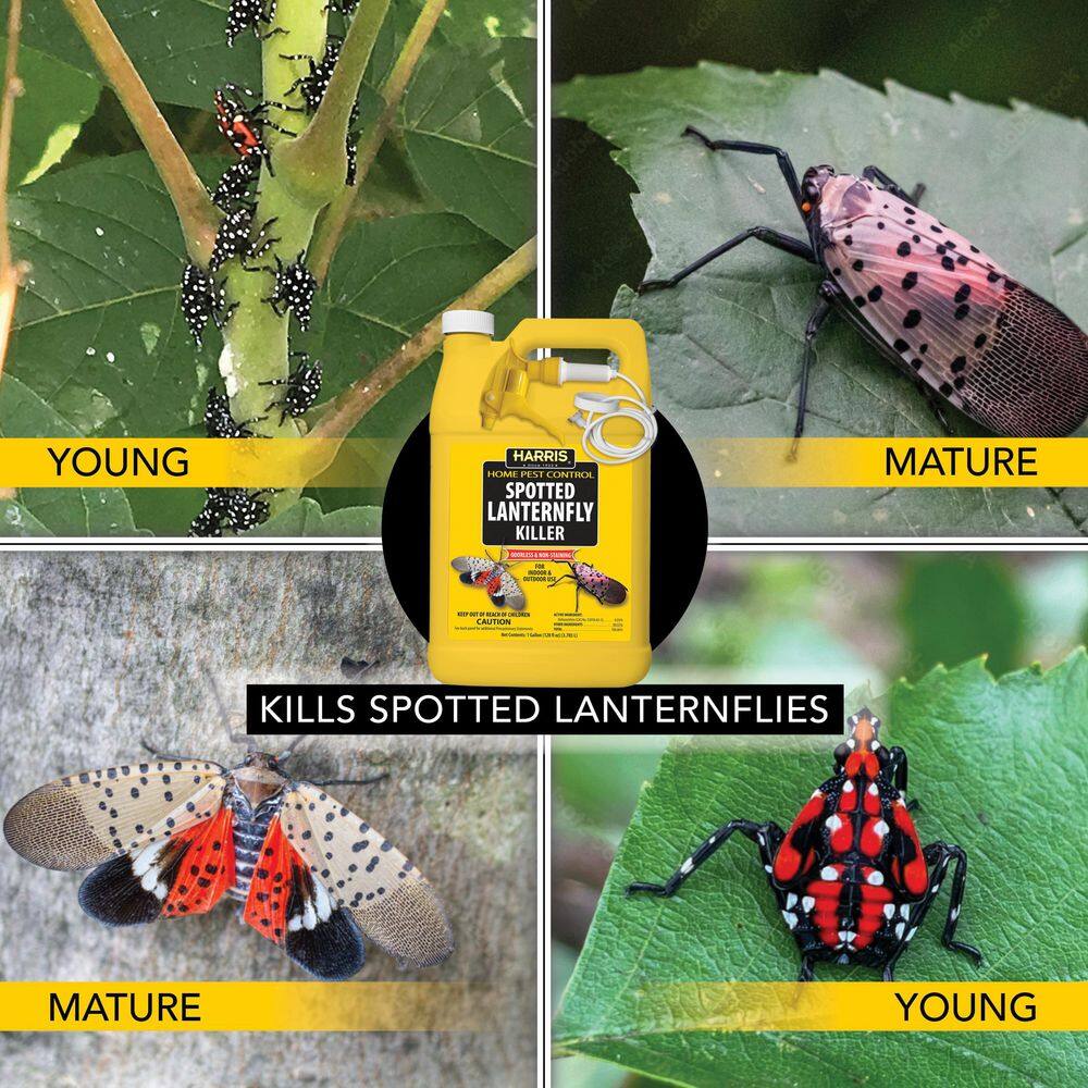 Harris 1 Gal. Spotted Lanternfly Killer with 1 Gal. Tank Sprayer (3-Pack) 3SLF-128TANK