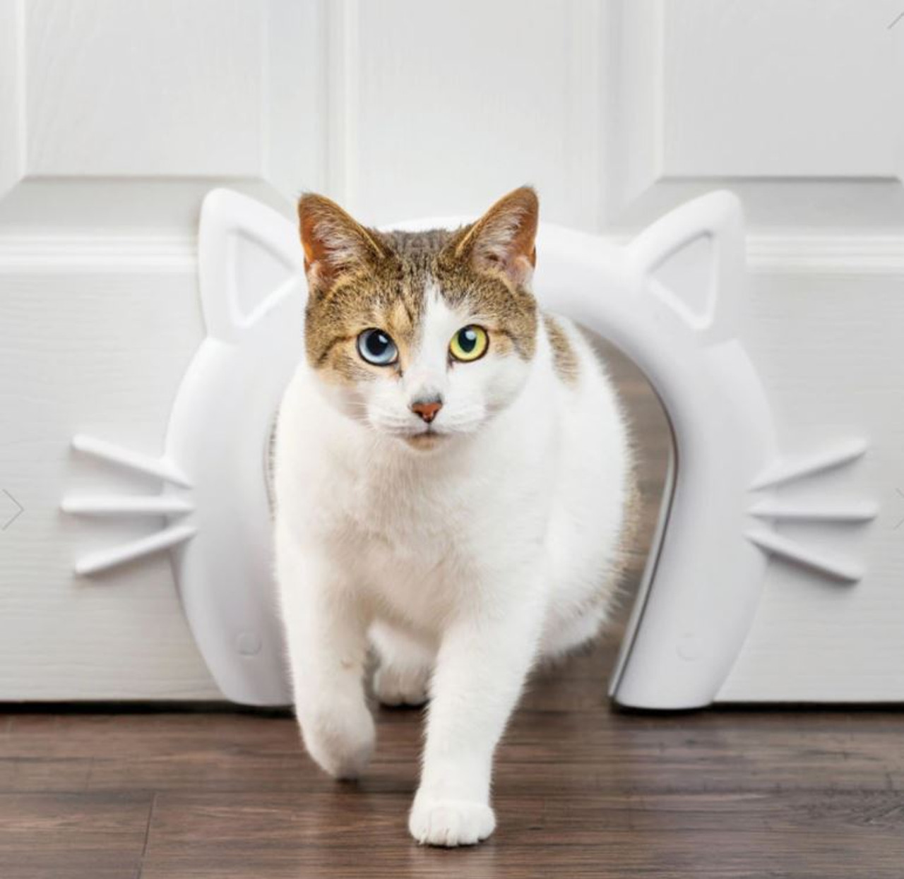 PetSafe Cat Corridor Interior Pet Door