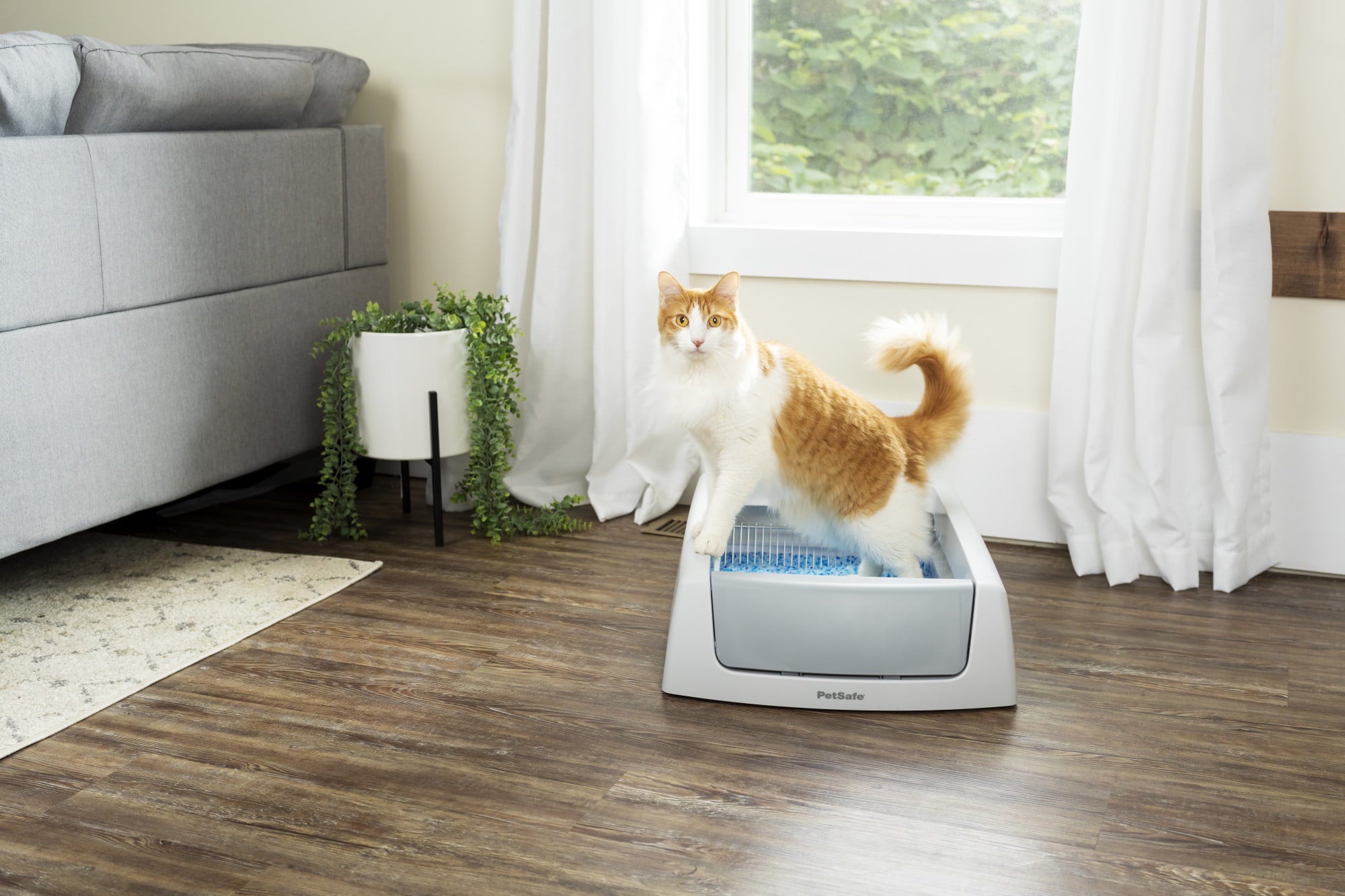 ScoopFree Complete Self-Cleaning Litter Box - No Scooping Required - Unbeatable Odor Control