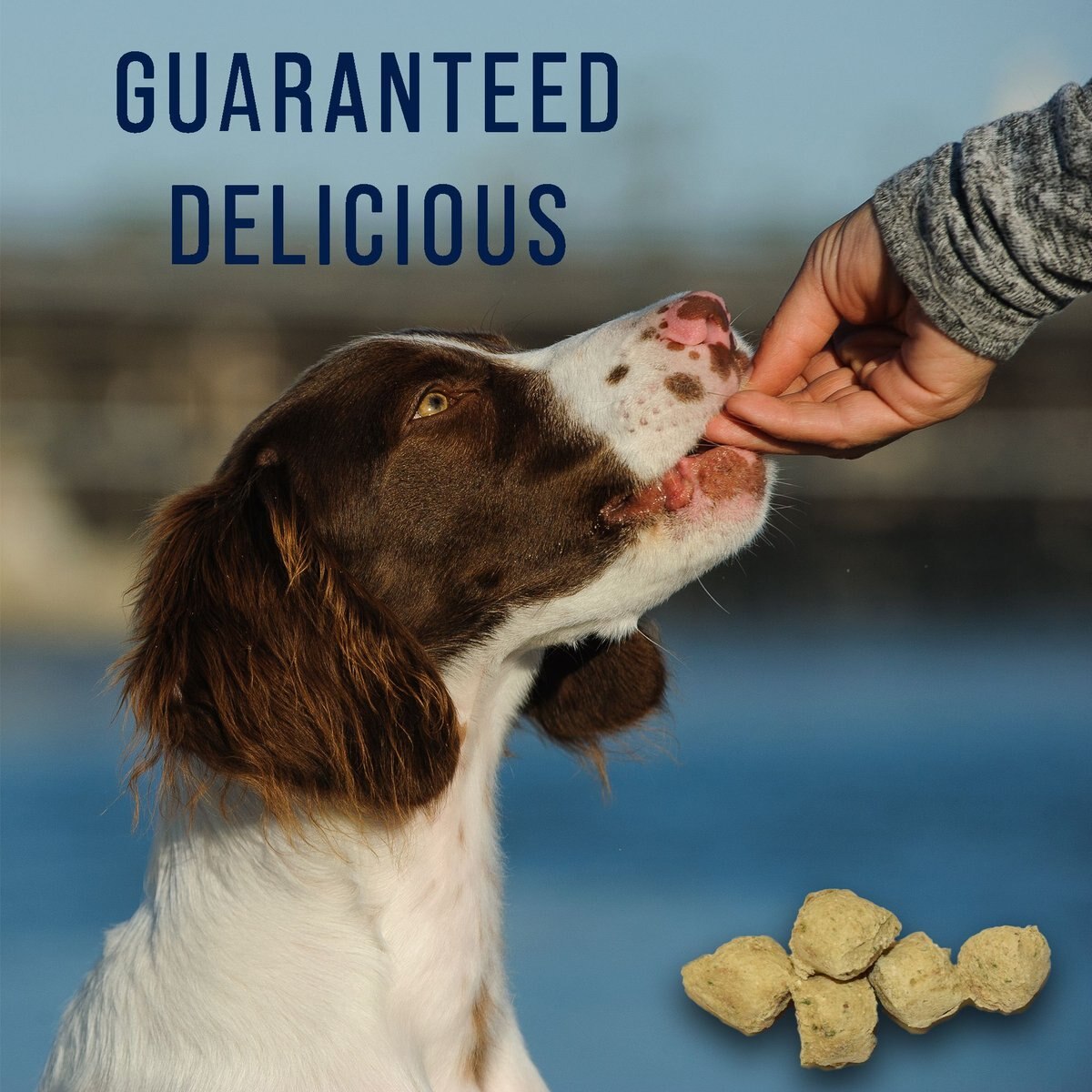 Stewart Healthy Hips Beef and Sweet Potato Recipe Grain-Free Freeze-Dried Dog Treats