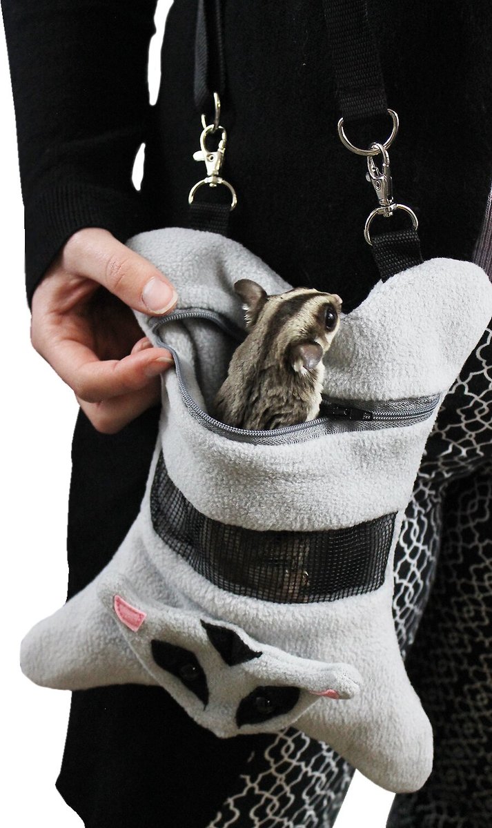 Exotic Nutrition Hangouts Small Animal Carry Pouch