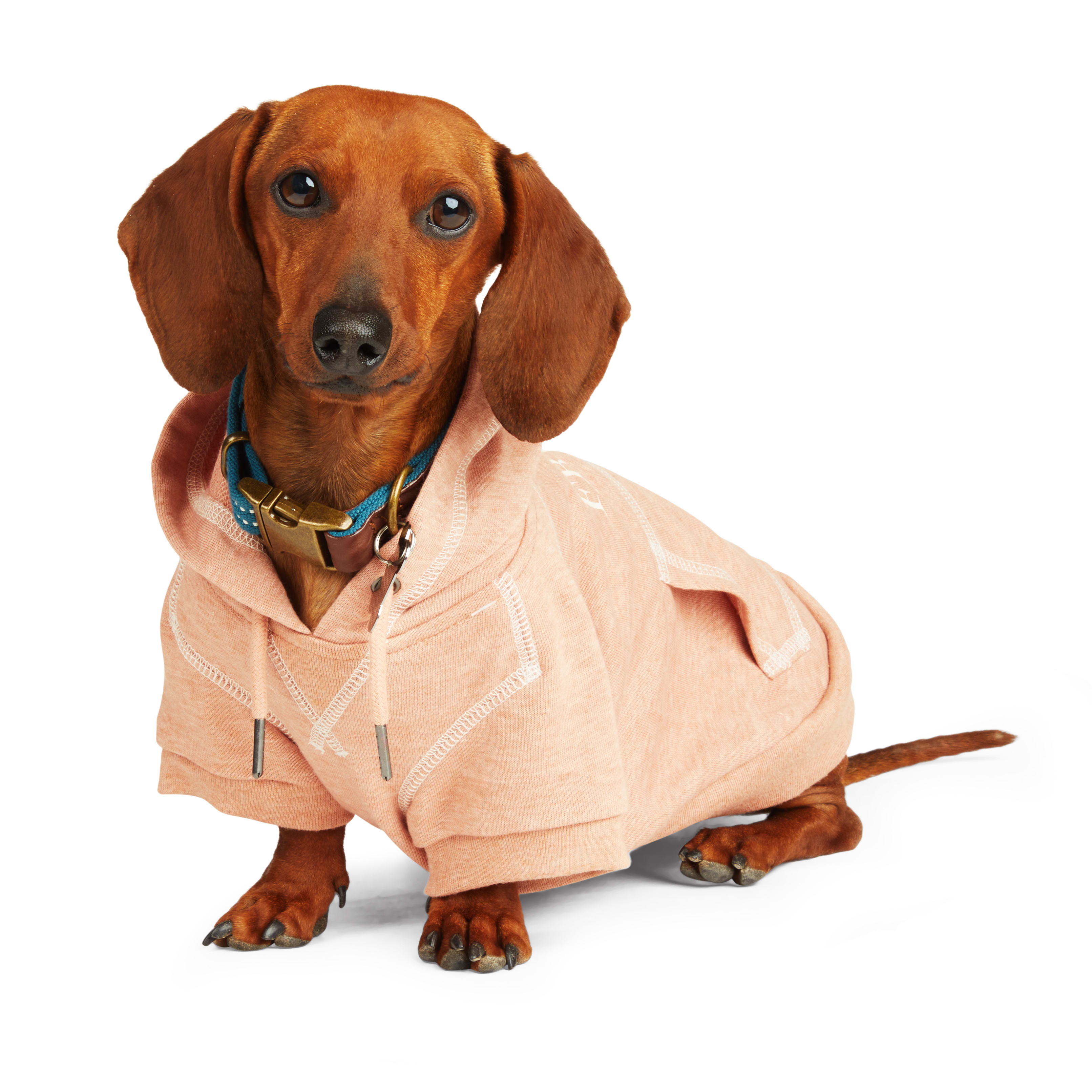 Reddy Copper BFF Dog Hoodie， X-Small