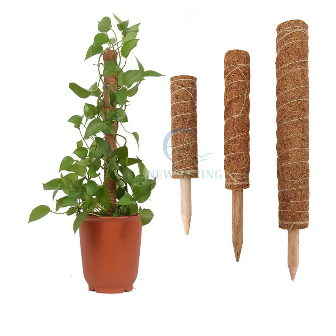 Wholesales Strong customizable plant support Moss Pole Plant Vine Support Climbing Coco Sticks Detachable Moss Pole