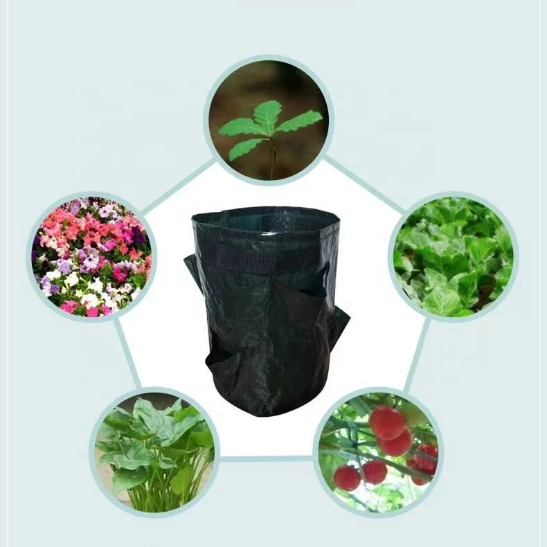 10 Gallon 6 8 Mouths Eco Friendly Biodegradable Strawberry Planting Vegetable Flower Herb Plant Container Greenhouse Grow Bags