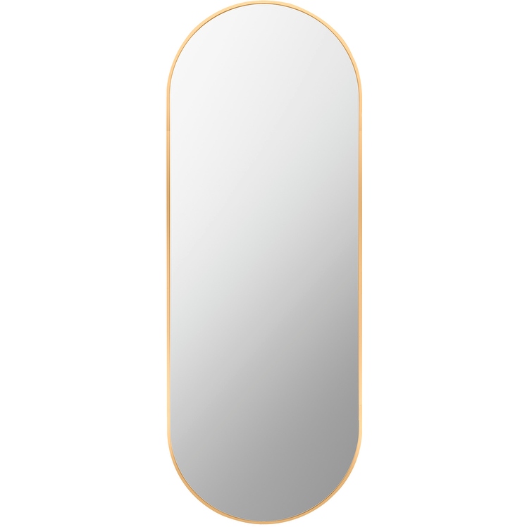 Artistic Weavers Aranya Modern Aluminum Oval Pill Shaped Accent Mirror