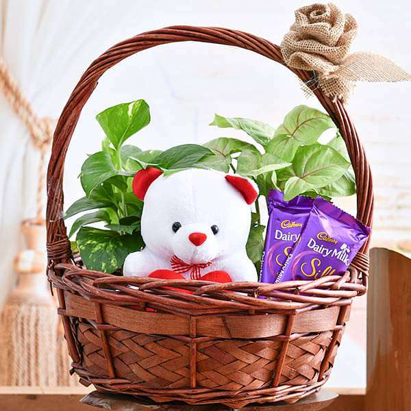 Basket of Joy for Someone Special