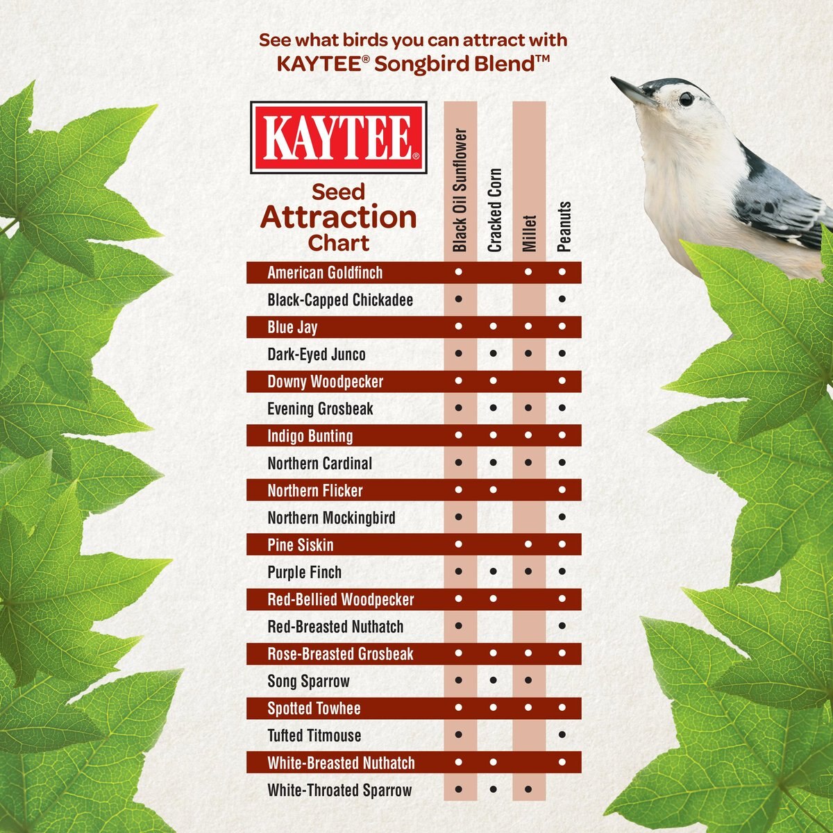 Kaytee Songbird Blend Bird Food， 35-lb bag