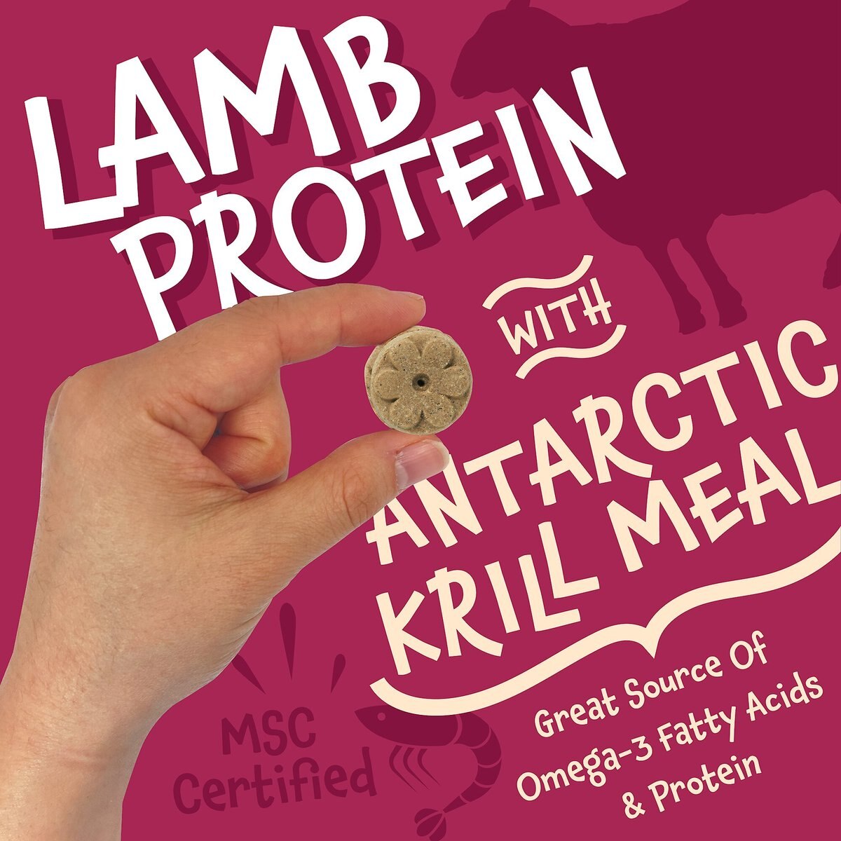 Earthborn Holistic Grain-Free Lamb Meal Recipe Dog Treats