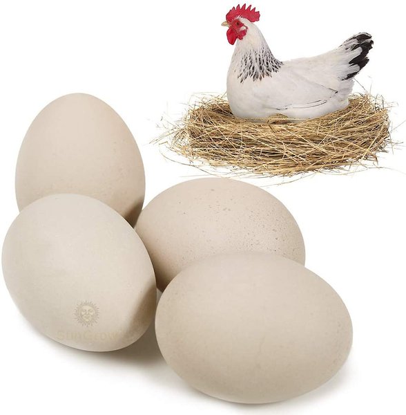 SunGrow Wooden Fake Eggs for Laying Hens in Chicken Coop Train to Lay inside Nest Box， Beige， 4 count