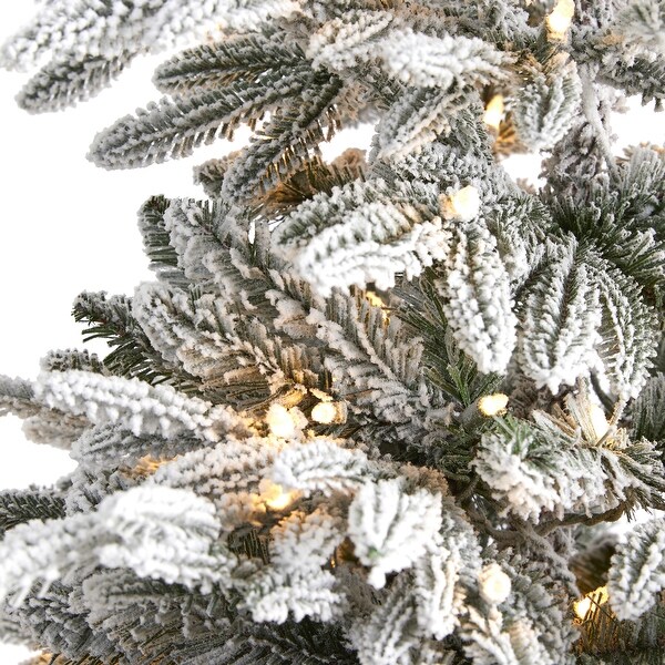 6.5' Flocked Manchester Spruce Artificial Christmas Tree with 300 Lights and 781 Bendable Branches