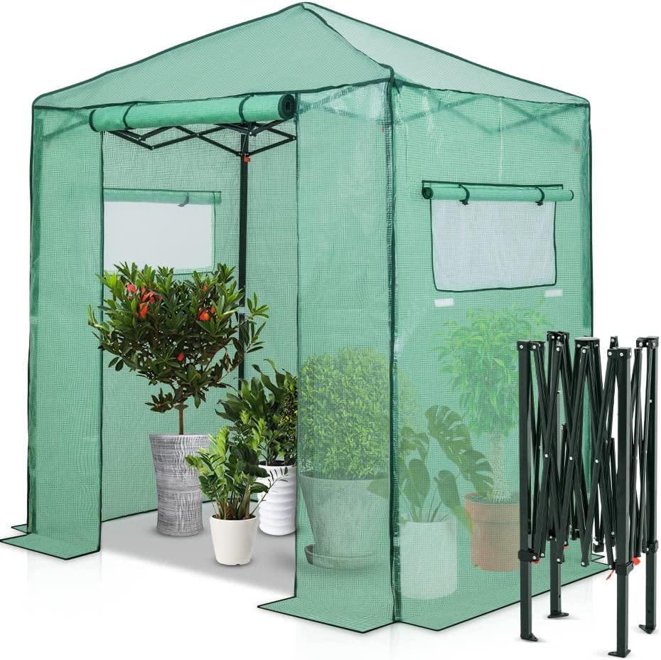 EAGLE PEAK 6'x4' Portable Walk-in Greenhouse Instant Pop-up Indoor Outdoor Plant Gardening Green House Canopy