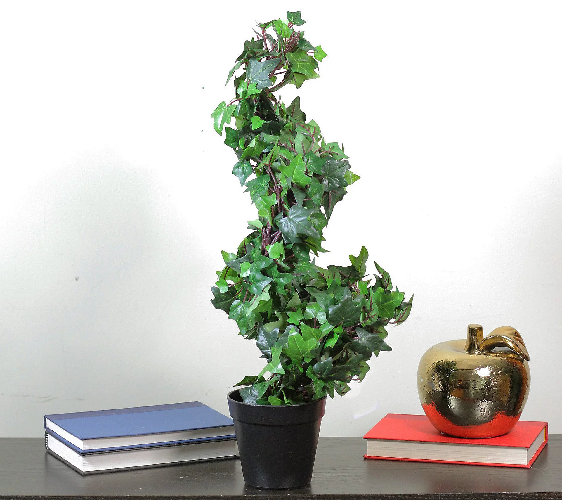 Northlight 1.8' Green and Black Potted Ivy SpiralTopiary Tree