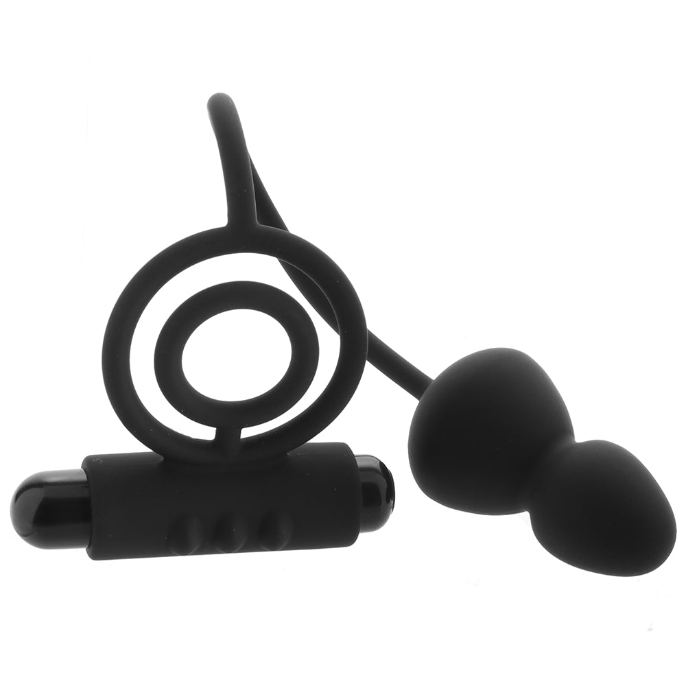 Anal Adventures Platinum Anal Plug and C-Ring Vibe