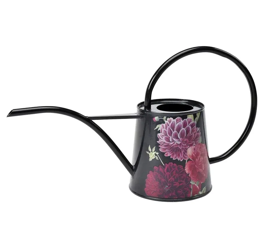 Luxury Selling Solid Metal Watering Cane Plant Watering Can Garden Watering Can For Plants With Long Spout Comfortable