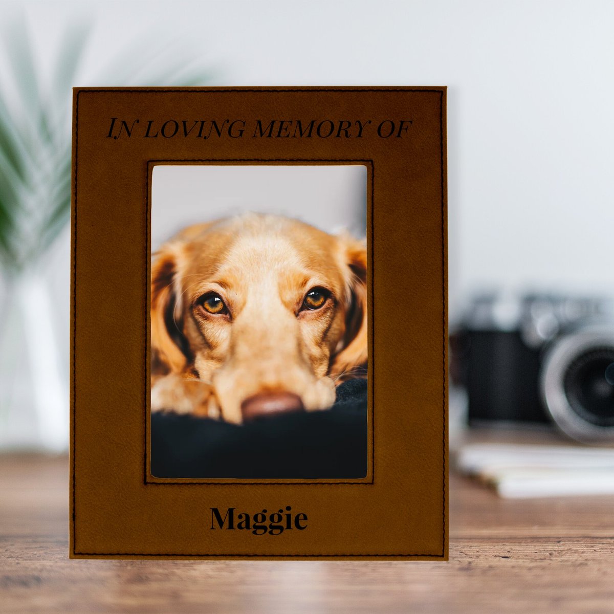 904 Custom Personalized In Loving Memory Pet Memorial Picture Frame