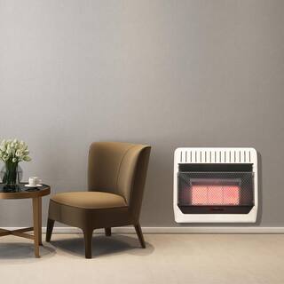 HearthSense 30000 BTU Vent Free Dual Fuel (NG or LP) Infrared Plaque Heater with Base Feet - T-Stat Control 171103