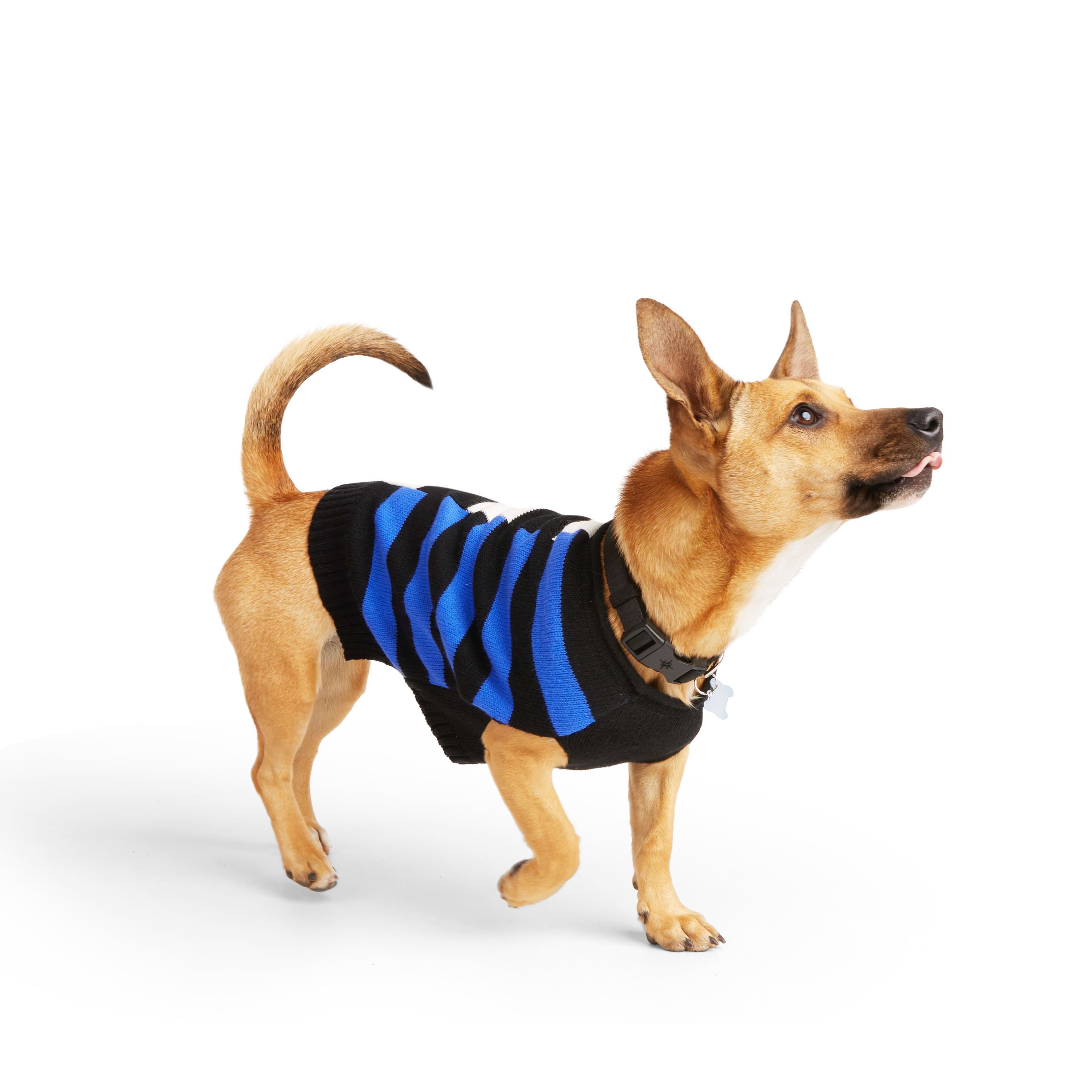 YOULY Black Stripe Dog Sweater， XX-Small