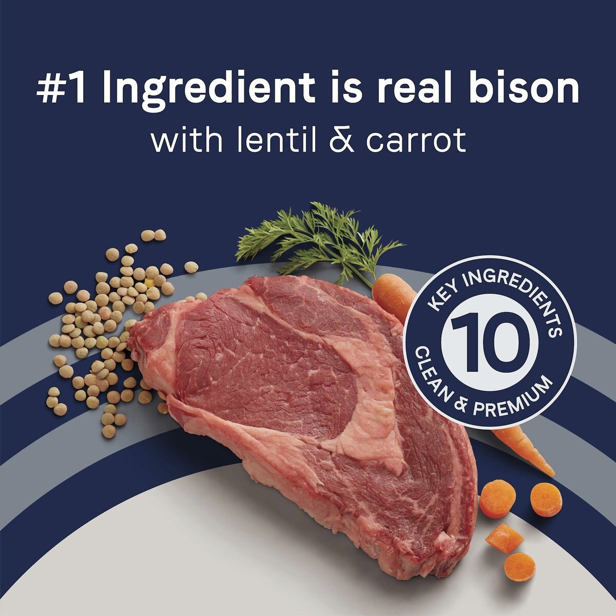 CANIDAE Grain-Free PURE Limited Ingredient Bison， Lentil and Carrot Recipe Dry Dog Food