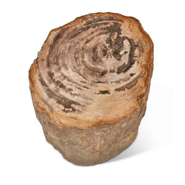 Fully Polished Stump- Dark