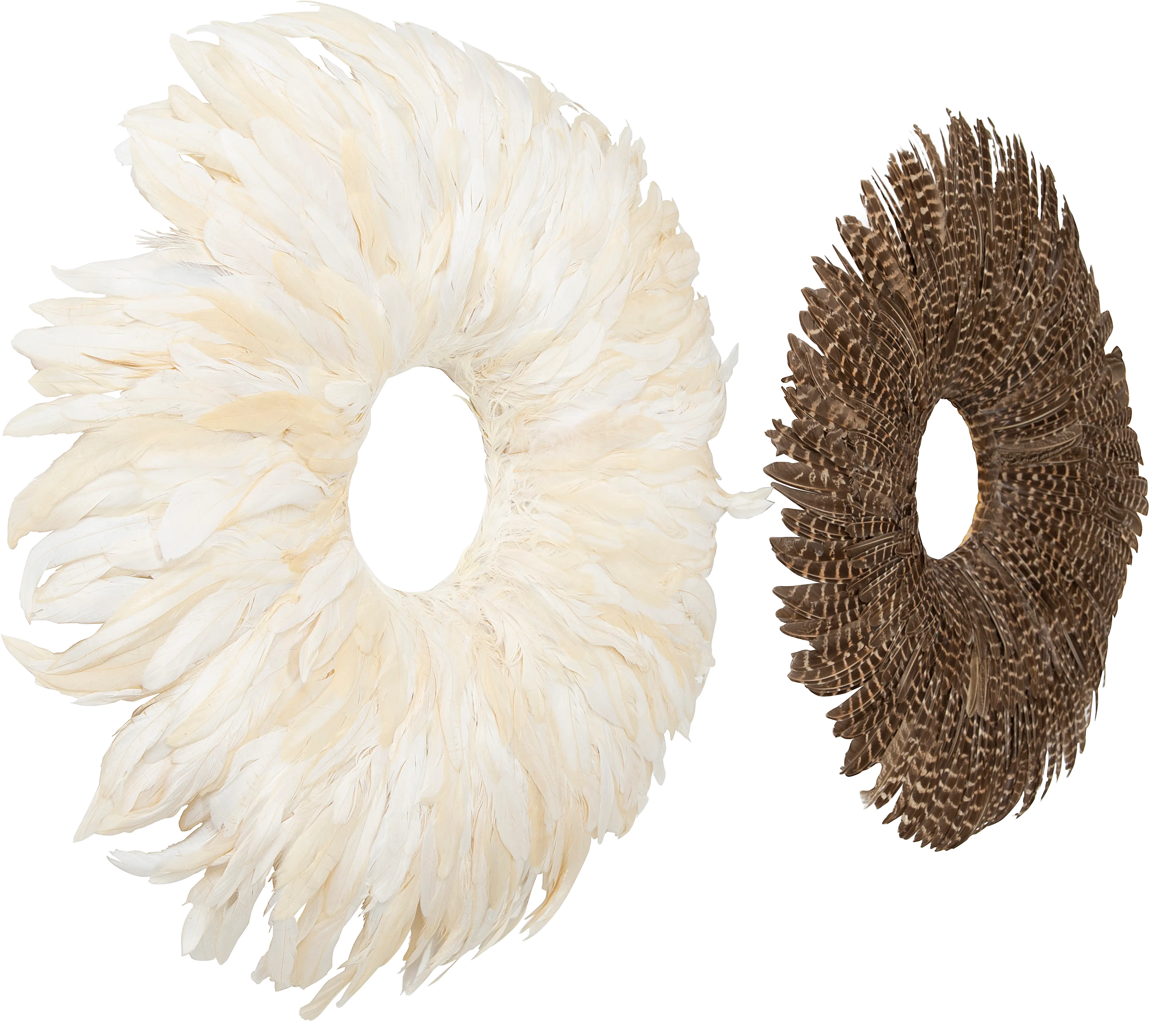 Assorted 23 Inch Round Feather Wall Decor