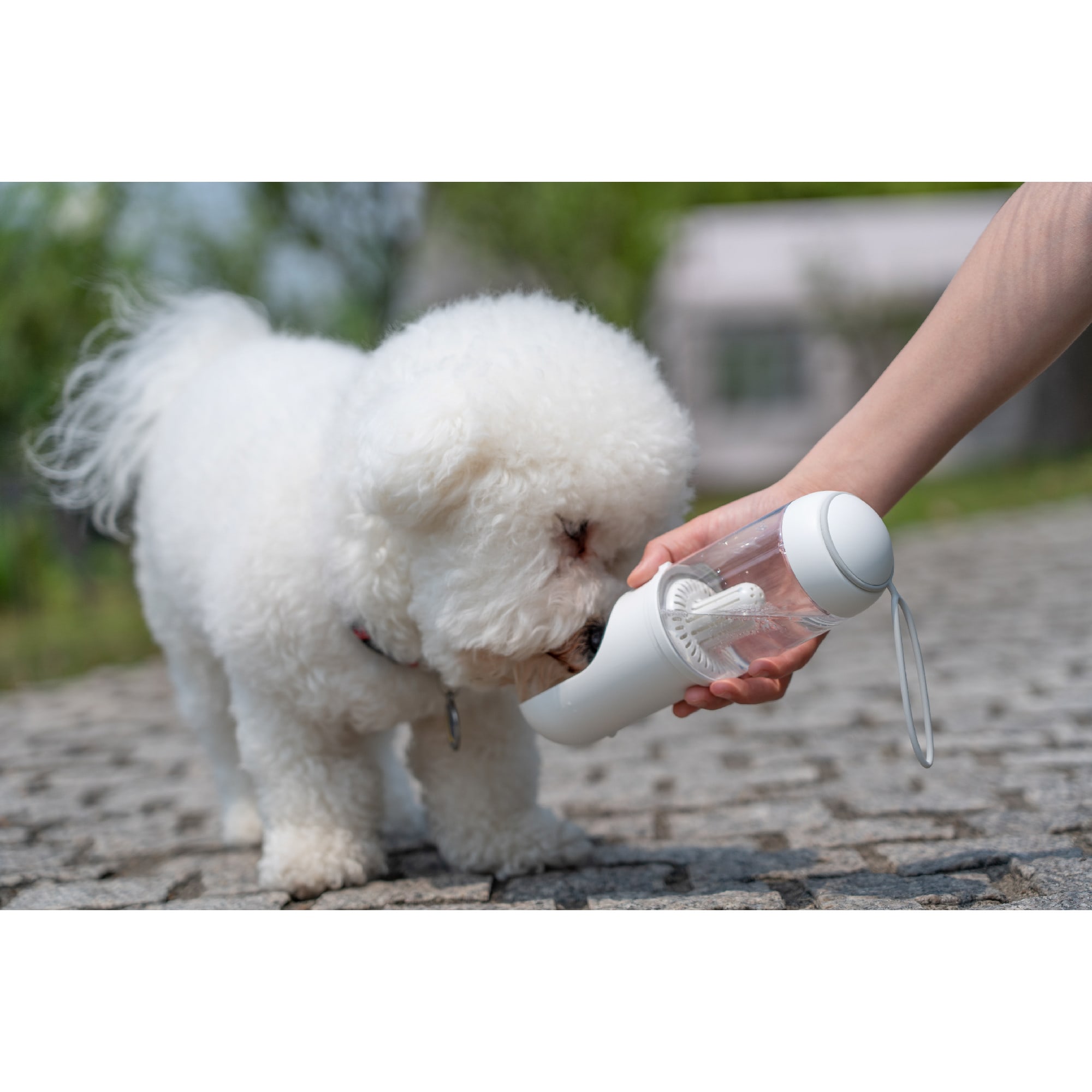 Pet Life White PYURE Handheld Travel Filtered Water Feeder Bottle for Dogs