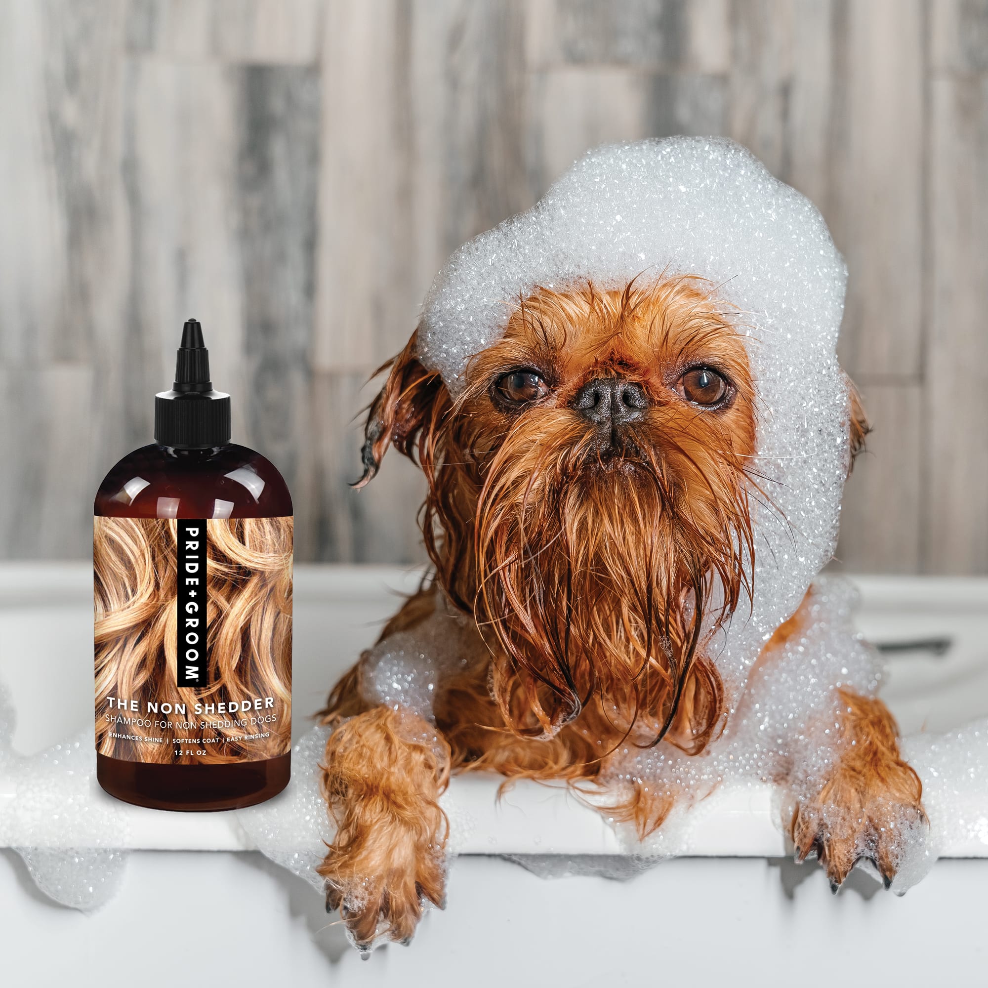 Pride+Groom The Non Shedder Dog Shampoo， 12 fl. oz.