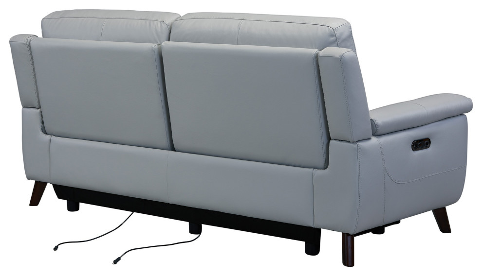 Lizette Contemporary Sofa  Dark Brown Wood Finish  ampDove Gray Genuine Leather   Midcentury   Sofas   by HedgeApple  Houzz