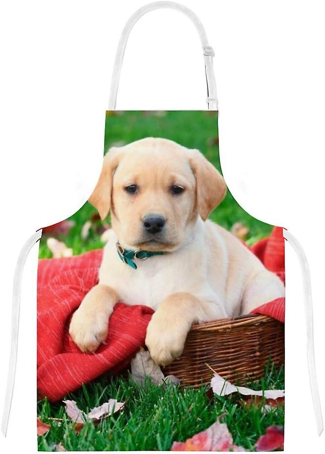 Kitchen Oven Mitts Glove Potholder Apron 3pcs Set Labrador Retriever Puppy Sits On Red Blanket Non Slip Heat Resistant Mitts Baking Cooking Bbq