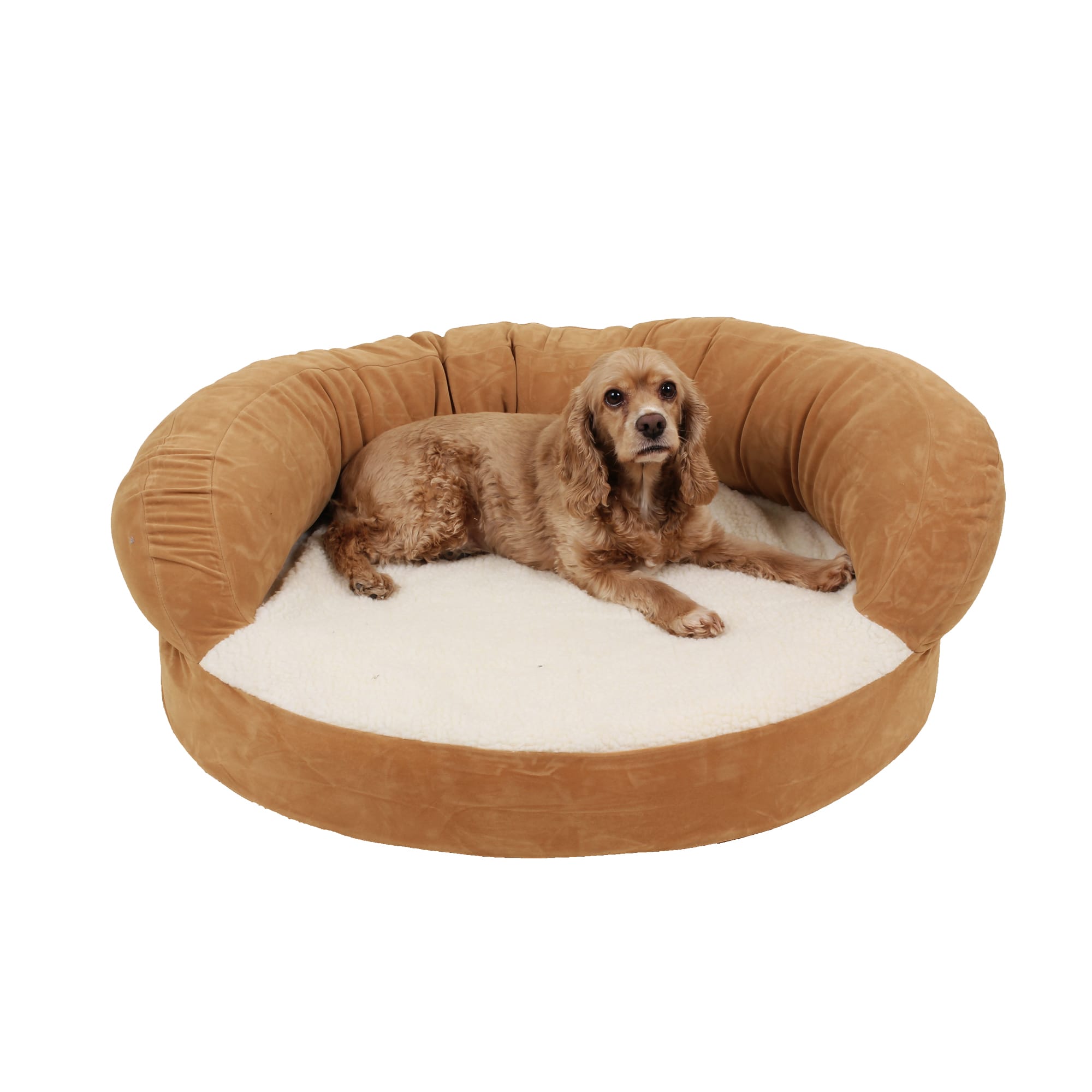 Carolina Pet Company Orthopedic Bolster Dog Bed， 35