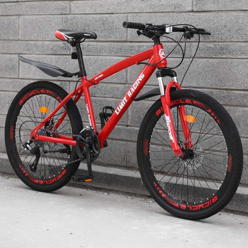 TOP sale double disc brake other folding mountain bike from vietnam supplier