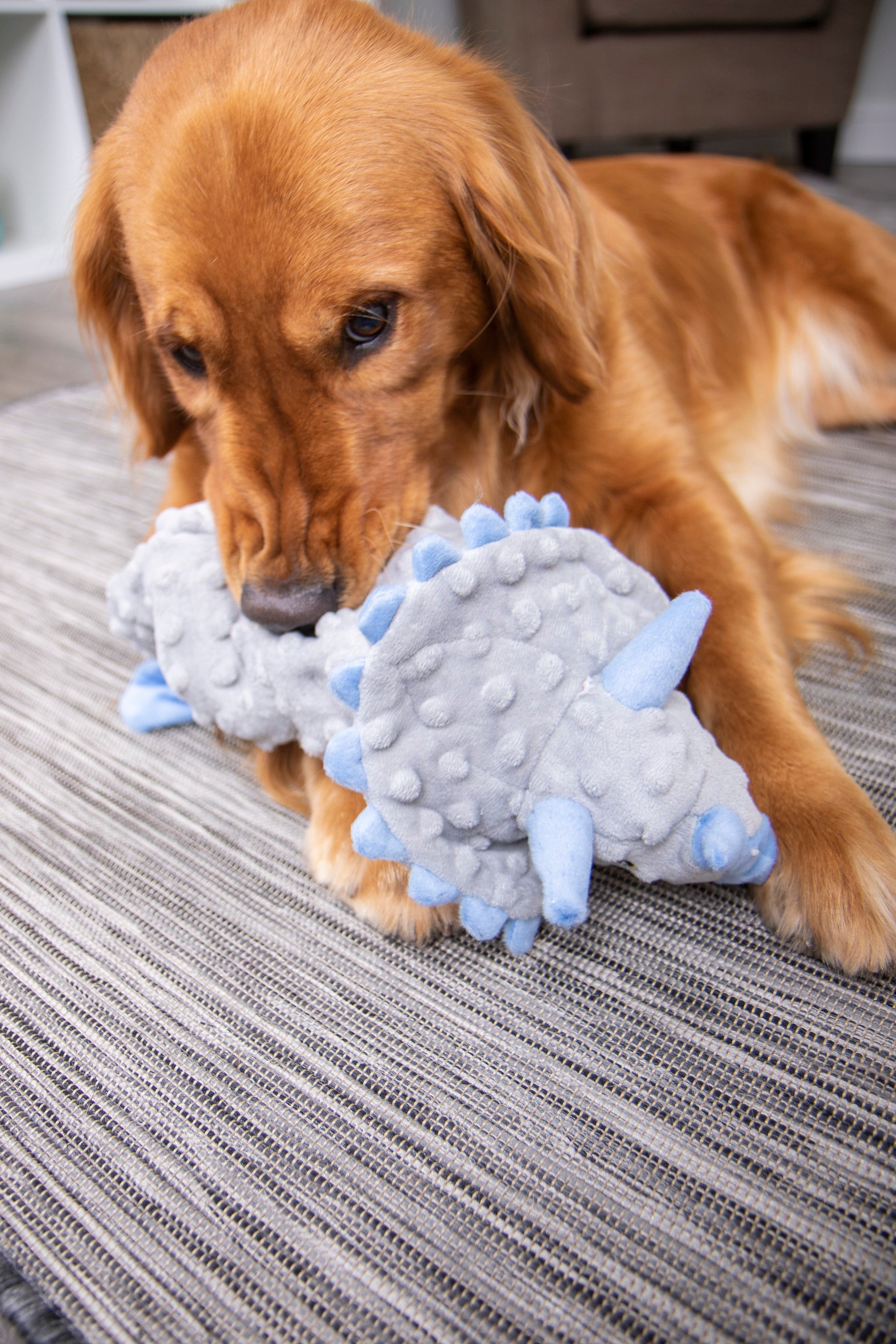 goDog Dinos Frills Squeaker Plush Pet Toy for Dogs and Puppies， Soft and Durable， Tough and Chew Resistant， Reinforced Seams - Gray， Large