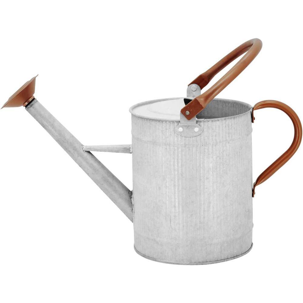 Cubilan 1 Gal. Watering Can Decorative Farmhouse Watering Can Metal Watering Can with Removable Spout B083F9N5M7