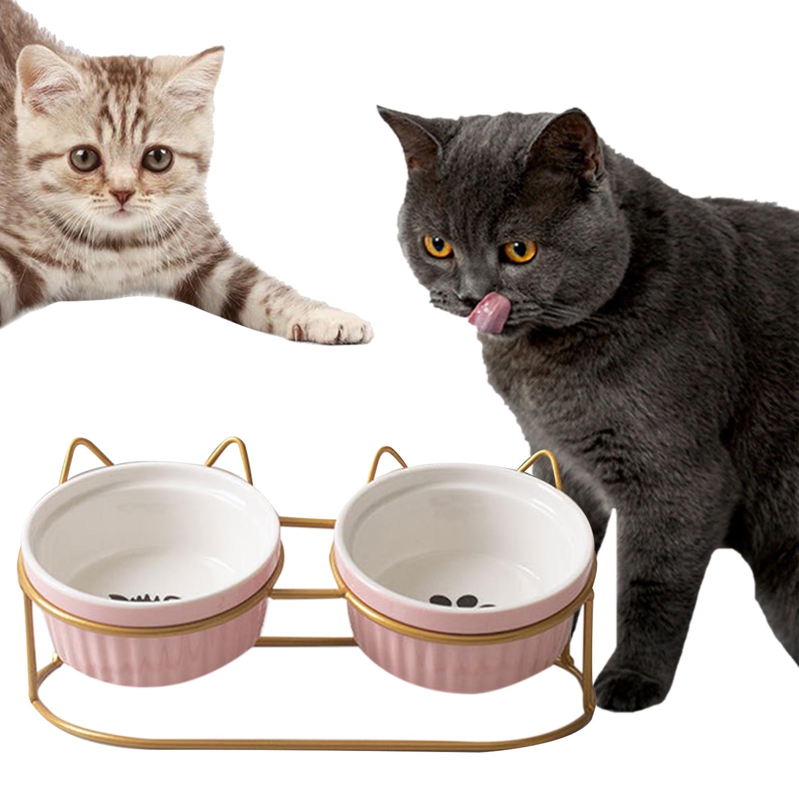 Cat Bowls Raised Iron Stuble Elevated