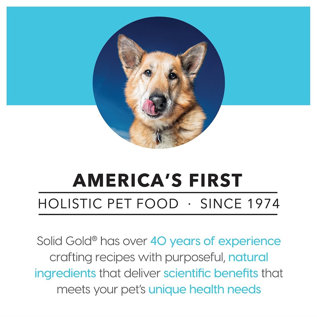 Solid Gold Fit and Fabulous Chicken， Sweet Potato and Green Bean Weight Control Recipe Grain-Free Canned Dog Food