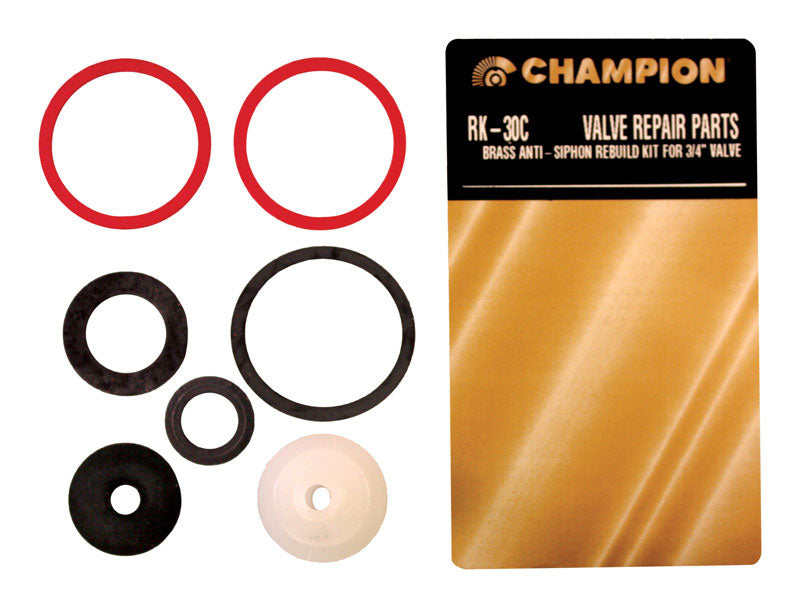 VALVE REBUILD KIT 3/4