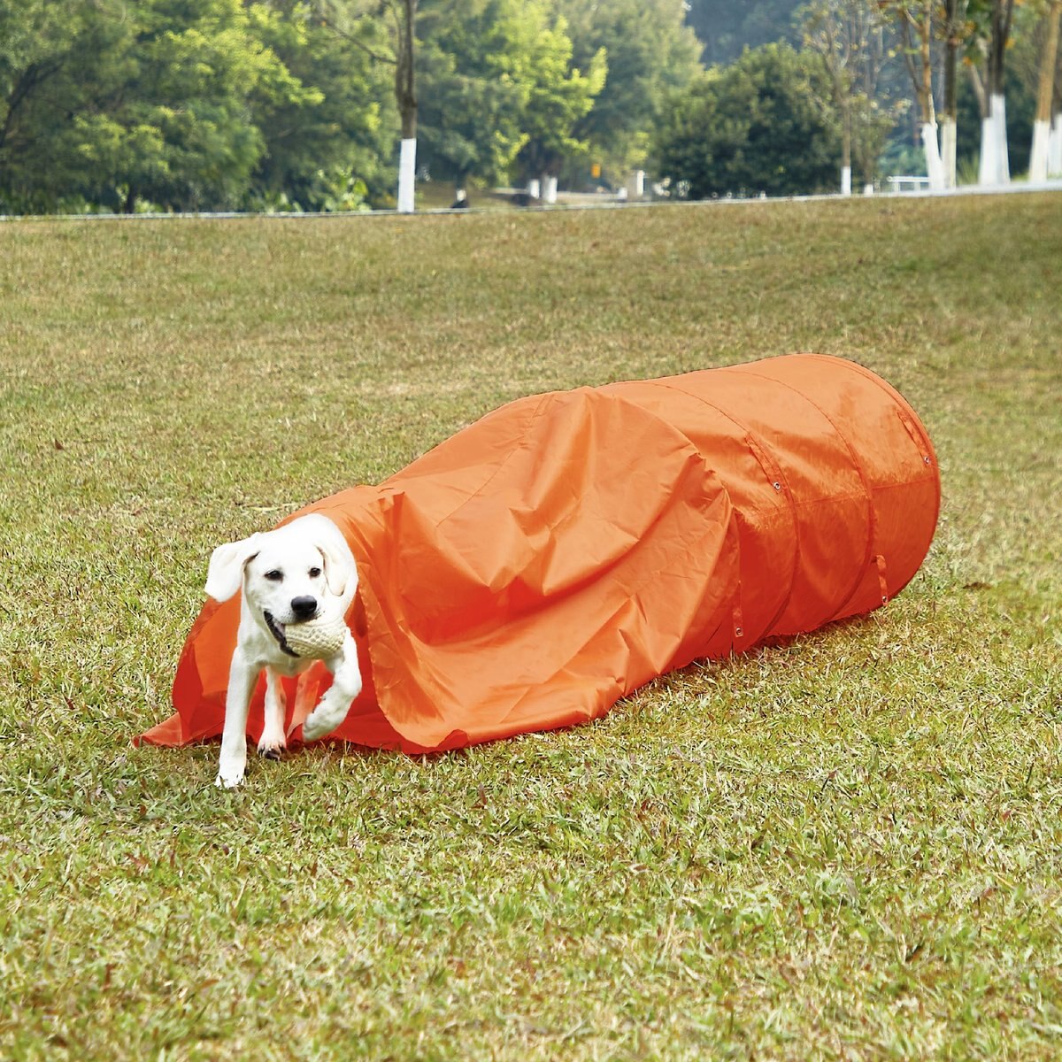 Outward Hound Zip and Zoom Closed Tunnel Chute Attachment with Metal Stakes Dog Agility Kit， Orange