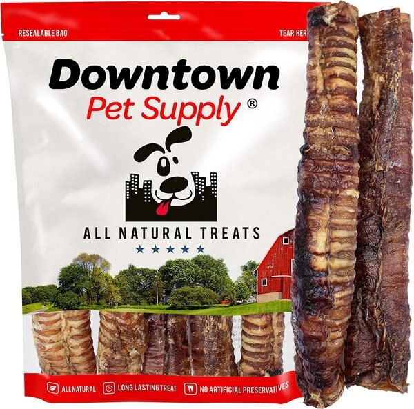 Downtown Pet Supply USA Beef Trachea 9-in Dog Treats