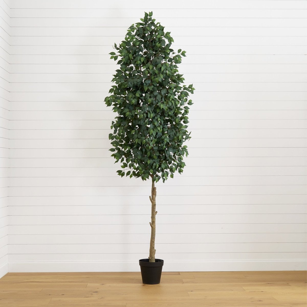 10' Faux Ficus Tree | Lifelike Indoor Tree – Ed's Plant Shop