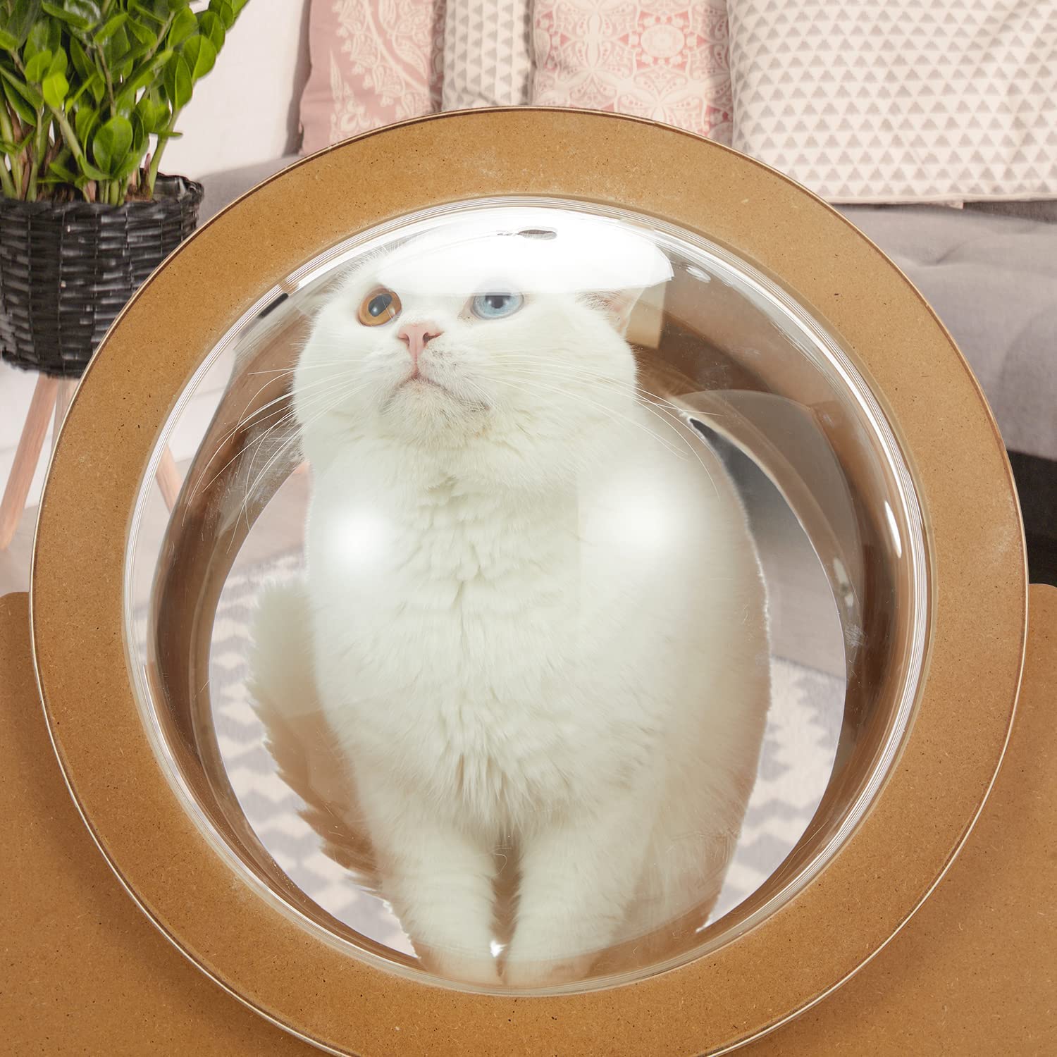 Yoleny Wooden Cat Bed Capsule Spaceship Gamma Cat Bed with Acrylic Dome，  Indoor Cat House with Large Transparent Capsule for Mammals