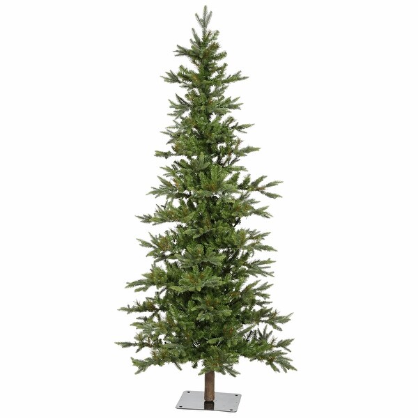 Vickerman 6' Shawnee Fir Artificial Christmas Tree，Unlit