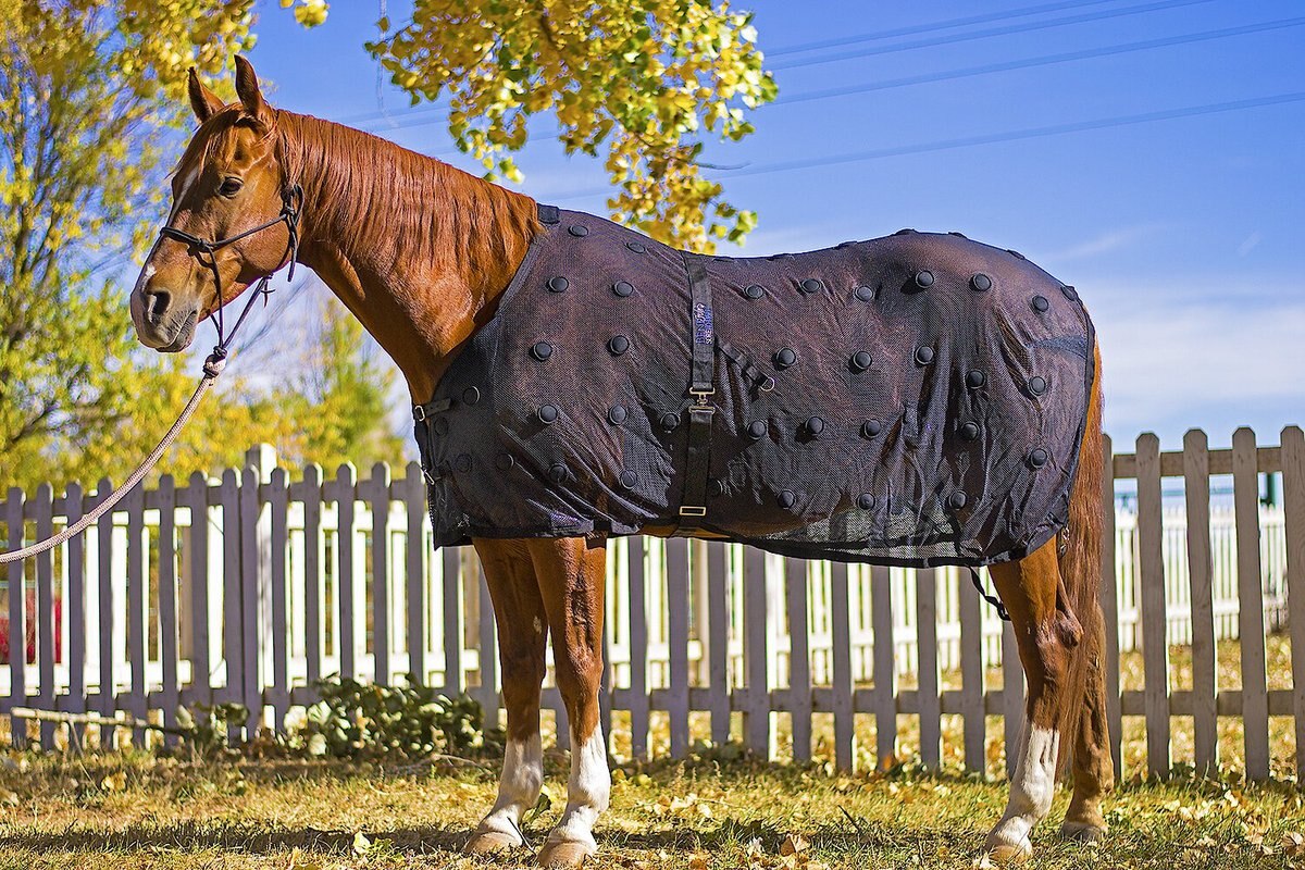 Benefab Rejuvenate Horse SmartScrim