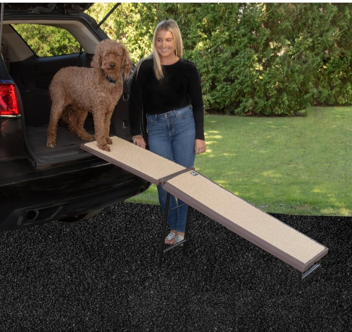 Pet Gear Ultra-Lite Free-Standing Dog Ramp and Extension