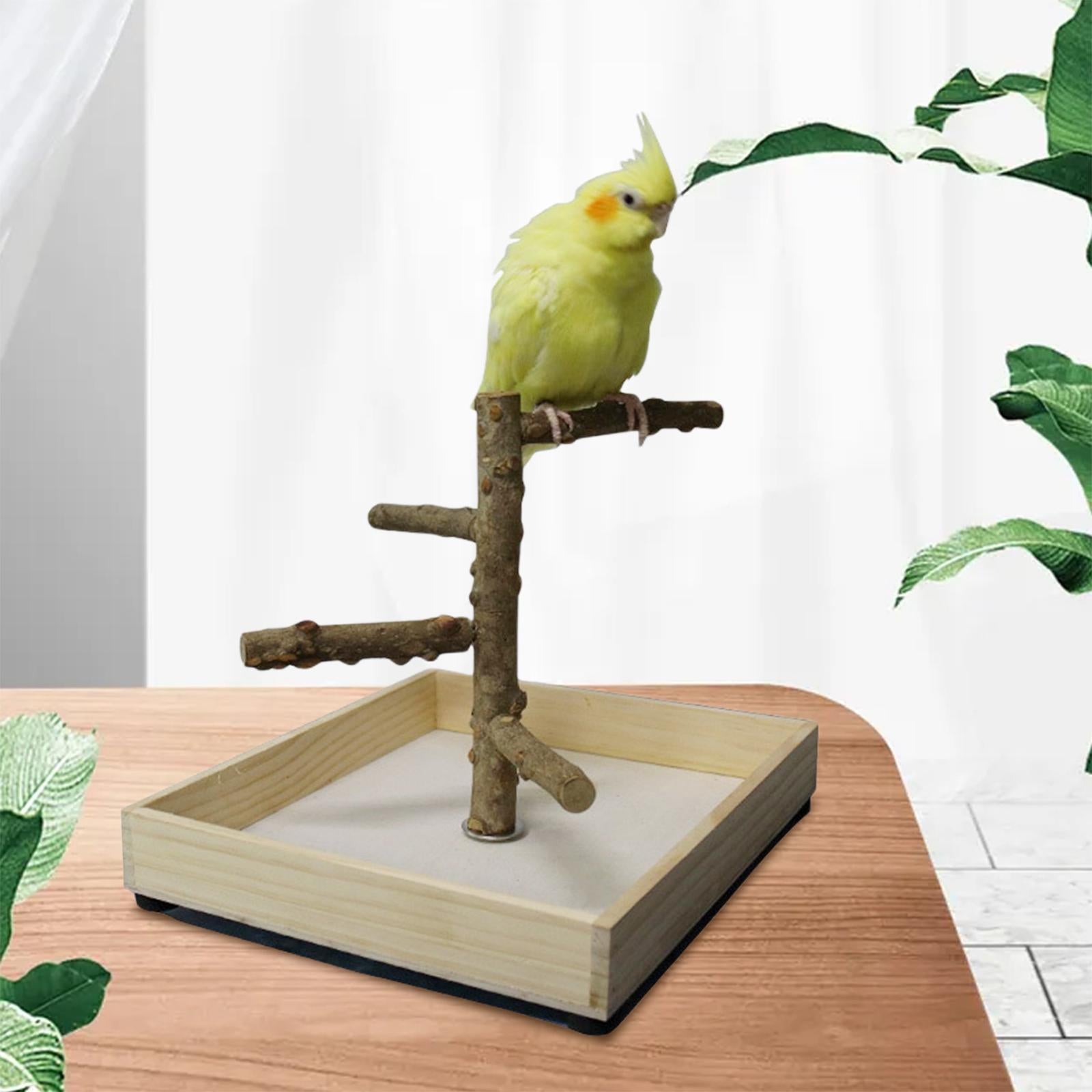 Parakeet Perch， Bird Natural Wood Stand， Parrot Wooden Branches for Standing， Toys for Small Medium Parrots Budgie - 36x36x25cm