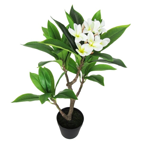 2.25ft Cream Artificial Plumeria Flower Tree Tropical Plant in Black Pot