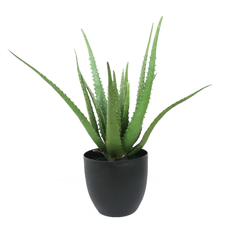 Supplies 50cm tall 17lvs real touch aloe plant